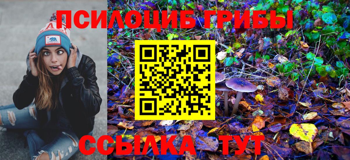 Ишим  Псилоцибиновые грибы Cubensis  Вход с VPN 