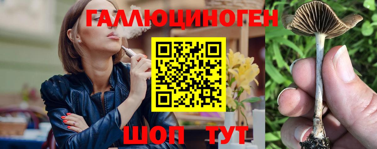 Псилоцибиновые грибы ЛСД Ишим